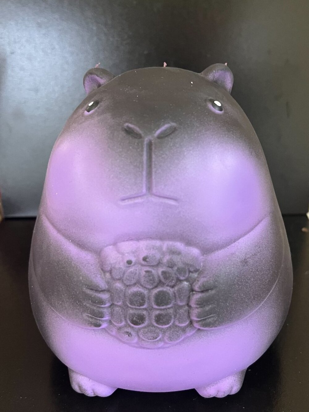 Jumbo Squishy Kapybara
